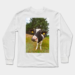 Cow looking at camera Long Sleeve T-Shirt